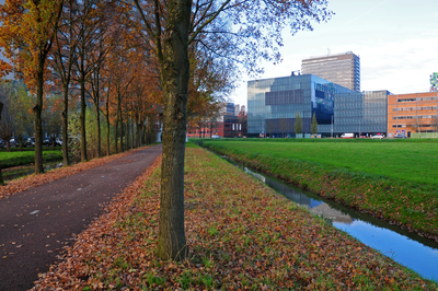 825334 Gezicht op het Oxfordpad (links) te Utrecht, uit het zuiden, met op de achtergrond de Universiteitsbibliotheek ...